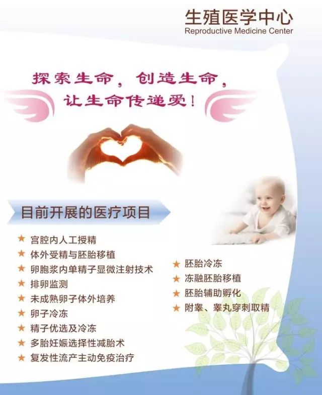 女性行为