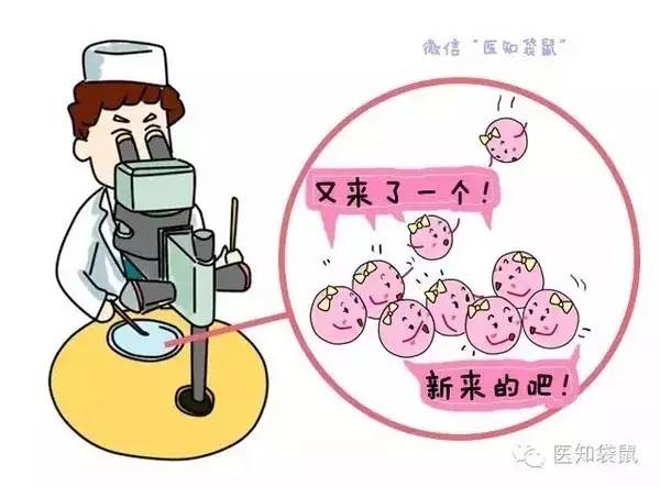 多囊卵巢综合征