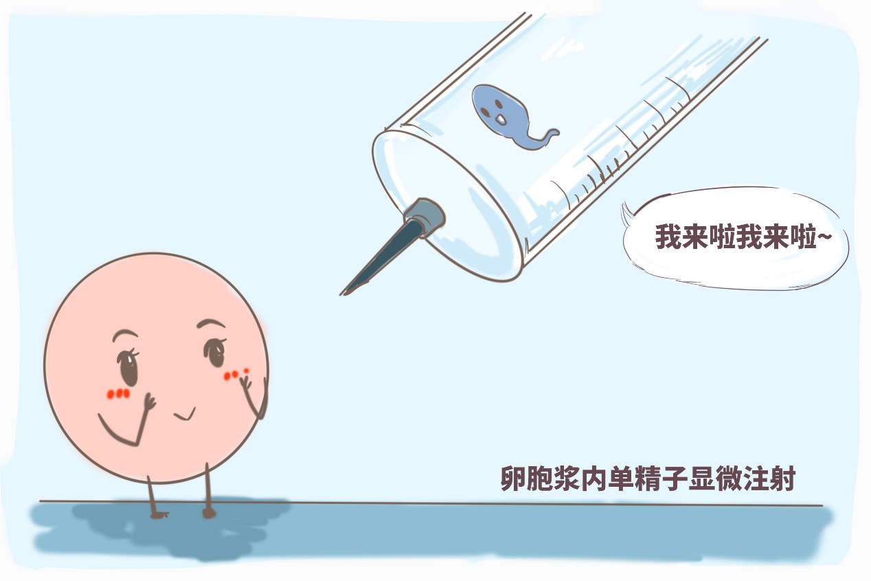 怀后壁