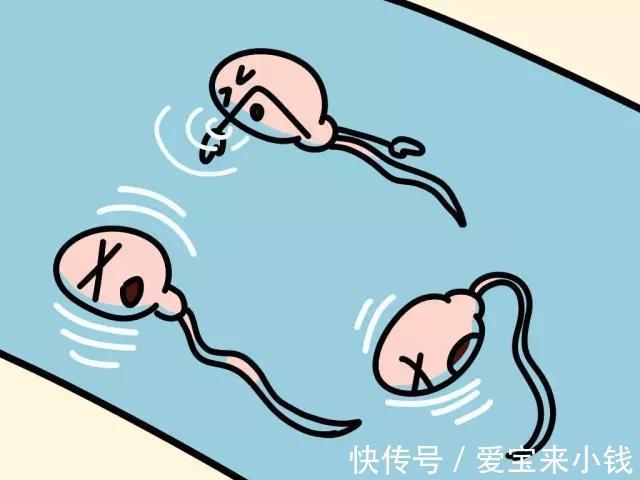 宝宝性格