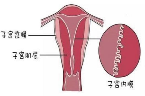 顺产