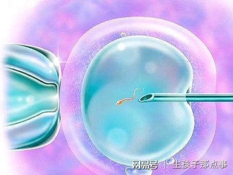 中医脉象