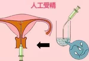 最毒的水果第一名