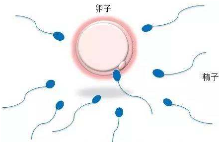 人流术后