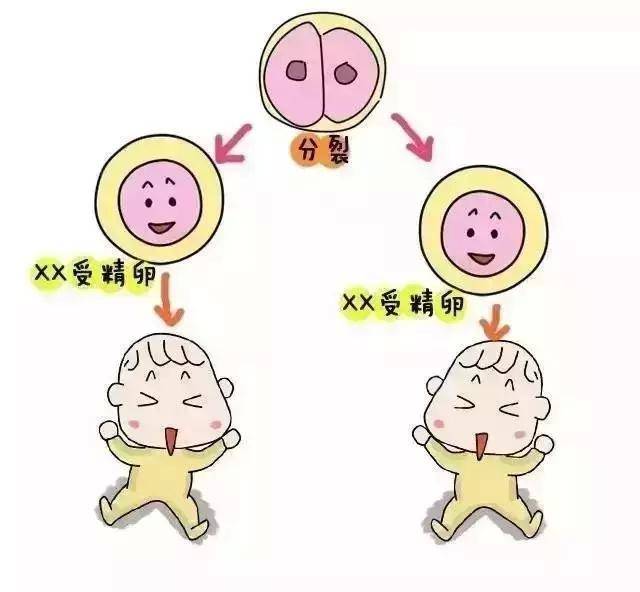 孕妇