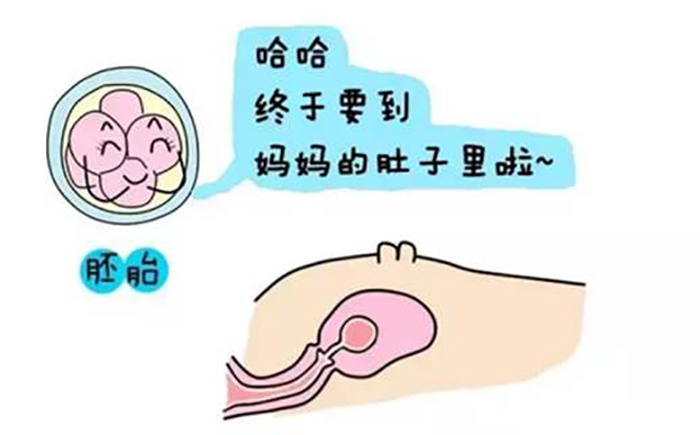 孕妇夫妻合照