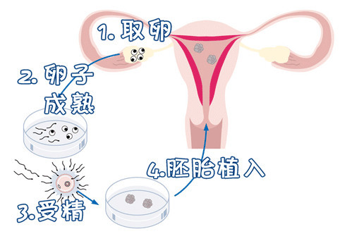 奶奶带孩子
