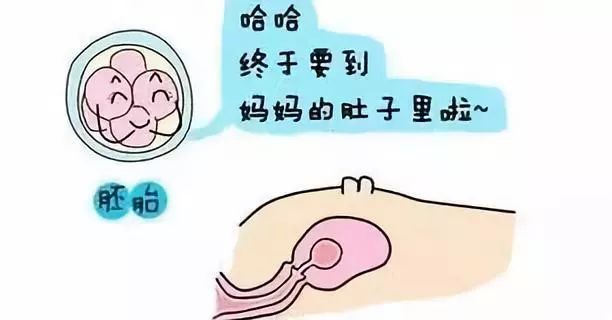育儿理念