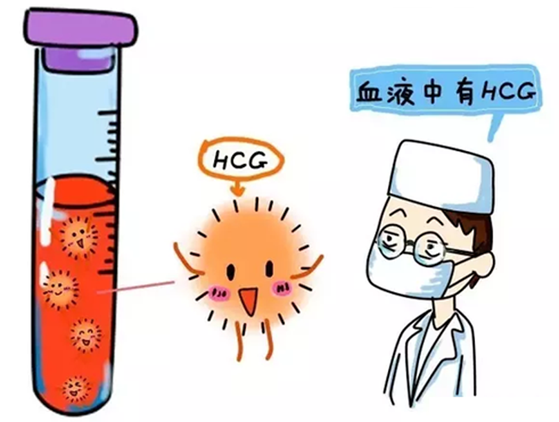 女孩终身不孕