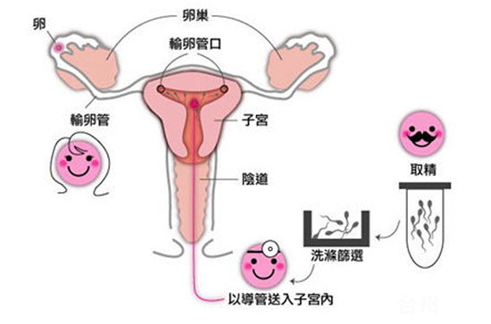 计算孕周