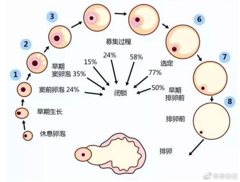 广州未婚女性