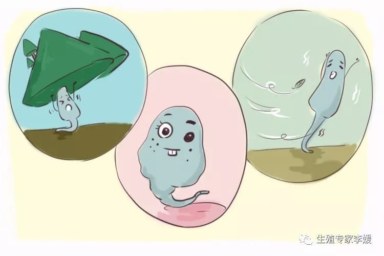 长沙婴儿试管