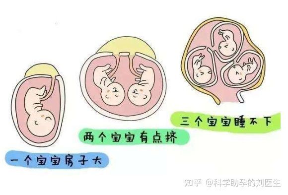 卵子买卖